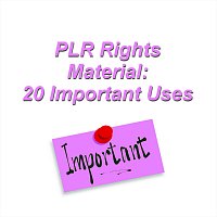 Plr Rights Material 20 Important Uses