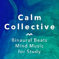 Calm Collective – Calm Concentration Pt. 1
