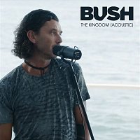 Bush – The Kingdom (Acoustic)