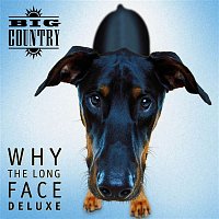 Big Country – Why the Long Face (Deluxe)