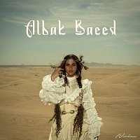 Přední strana obalu CD ALBAK BAEED