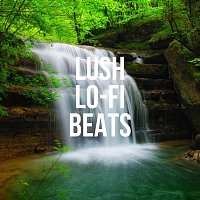 Různí interpreti – Lush Lo-Fi Beats