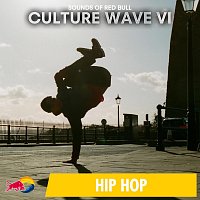 Sounds of Red Bull – Culture Wave VI