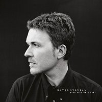 David Sylvian – Dead Bees On A Cake [Deluxe Edition]