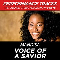 Voice Of A Savior (Performance Tracks) - EP