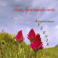 Ansambel bratov Avsenik – Tam, kjer murke cveto