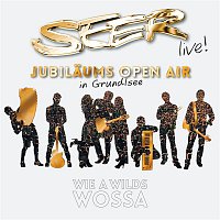 SEER – SEER Jubilaums Open Air (Live)