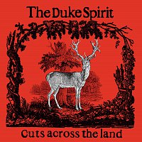 The Duke Spirit – Cuts Across The Land