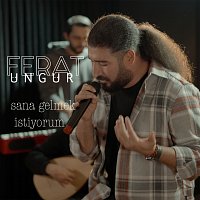 Ferat Ungur – Sana Gelmek ?stiyorum