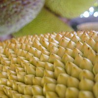 Přední strana obalu CD Global Syndrome