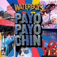 The Waterboys – Payo Payo Chin