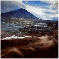 Polly Carter – Flowers on a mountain