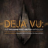 Přední strana obalu CD Deja Vu: The TFK Anthology