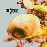 Přední strana obalu CD Mirrorland