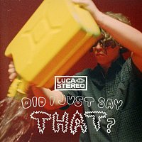 Luca Stereo – Did I Just Say That?