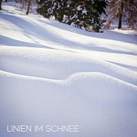 Přední strana obalu CD Linien im Schnee
