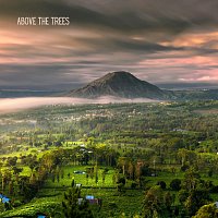Bali Meditation Group – Above the Trees