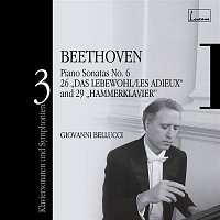 Beethoven : Piano Sonatas & Symphonies Volume 3