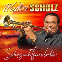 Přední strana obalu CD Sehsuchtsmelodie