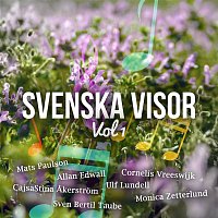 Přední strana obalu CD Svenska visor vol 1