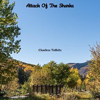 Clueless Tidbits – Attack of the Sharks