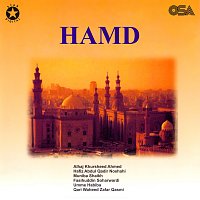 Různí interpreti – Hamd