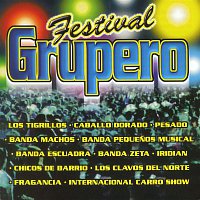 Various  Artists – Festival Grupero Vol. I