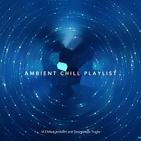Různí interpreti – Ambient Chill Playlist: 14 Chilled Ambient and Downtempo Tracks
