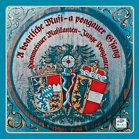 Hammerauer Musikanten - Junge Pongauer – A boarische Musi - a pongauer G'sang