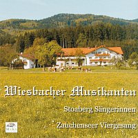 Přední strana obalu CD Wiesbacher Musikanten