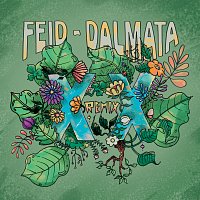 Feid, Dalmata – XX [Remix]