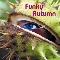 Různí interpreti – Funky Autumn