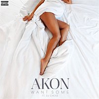 Akon – Want Some (feat. DJ Chose)