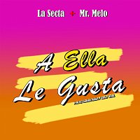 La Secta, Mr. Melo – A Ella Le Gusta