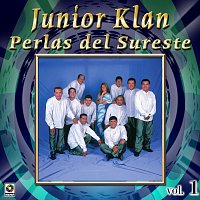 Junior Klan – Colección de Oro: Perlas del Sureste, Vol. 1