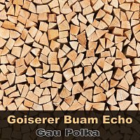 Goiserer Buam Echo – Gau Polka