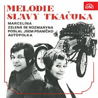 Přední strana obalu CD Melodie Slávy Tkačuka