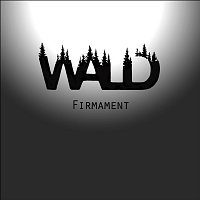 Wald – Firmament