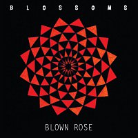 Blossoms – Blown Rose