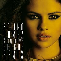 Přední strana obalu CD Slow Down Reggae Remix