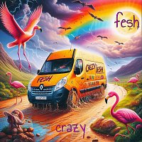 Přední strana obalu CD Crazy