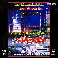 Alhaj M. Owais Raza Qadri – Jhoomta Ja Raha Hae Safina, Vol. 11