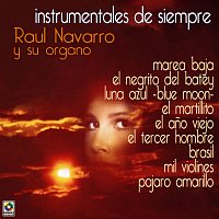 Raúl Navarro y Su Organo – Instrumentales De Siempre