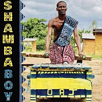 4 The Mzinga – Shamba Boy (Live)