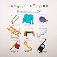 Frankie Cosmos – Haunted Items #4