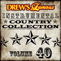 Přední strana obalu CD Drew's Famous Instrumental Country Collection [Vol. 40]