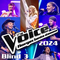 Různí interpreti – The Voice 2024: Blind Auditions 3 [Live]