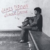 Přední strana obalu CD In The Jungle Groove