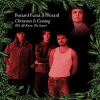 Buzzard Buzzard Buzzard – Christmas is Coming (We All Know The Score)