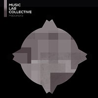 Music Lab Collective – Bizet: Carmen Suite No. 2: 5. Habanera (arr. piano)